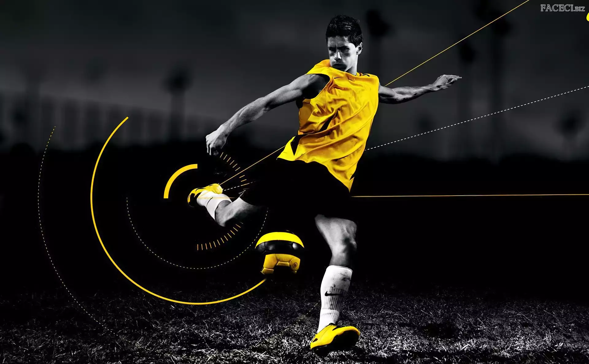 Fernando Torres, Piłkarz